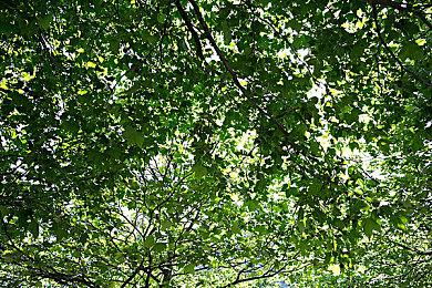 《Thymesia：记忆边境》公布新预告 已跳票至2022年发售